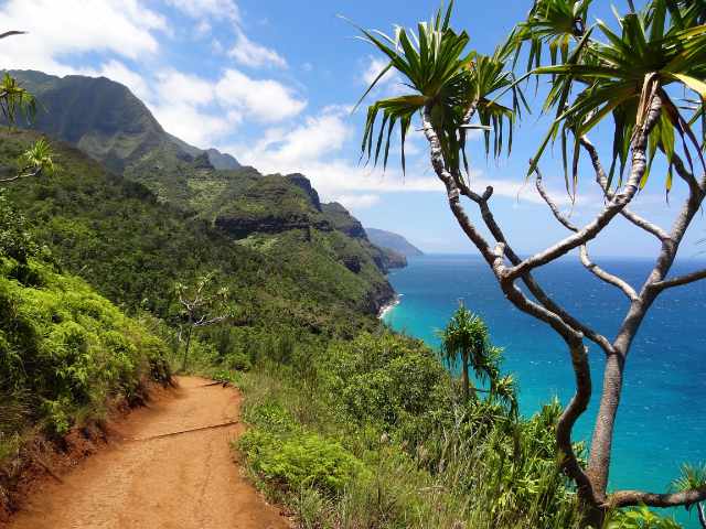 tropical island beautiful nature where transformation, imagination, and unexpected bliss are found
