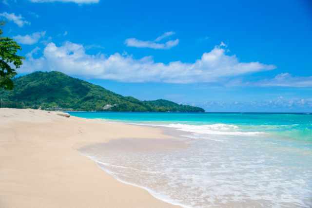 tropical island beautiful nature where transformation, imagination, and unexpected bliss are found