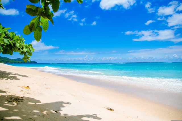 tropical island beautiful nature where transformation, imagination, and unexpected bliss are found